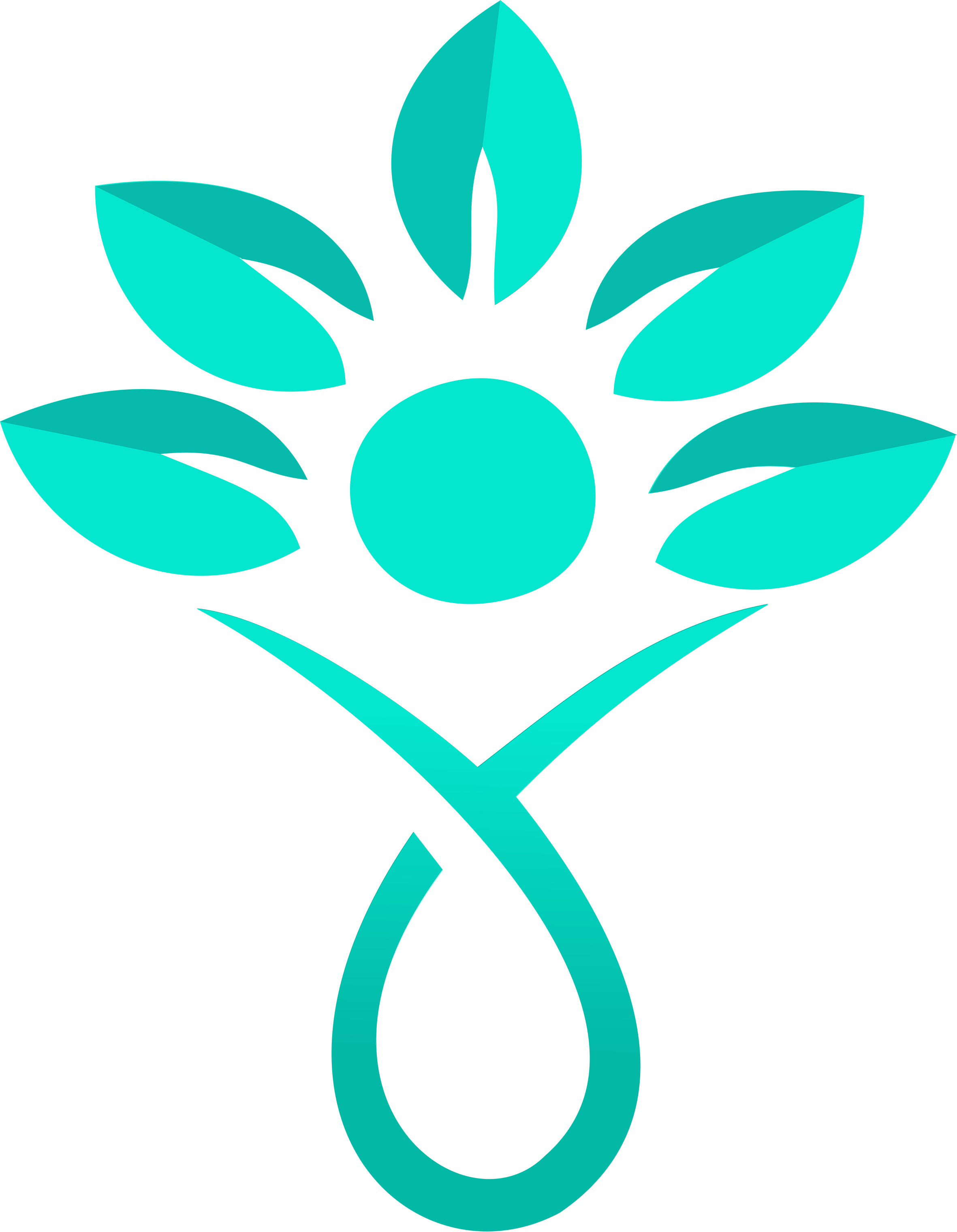 Council Logo